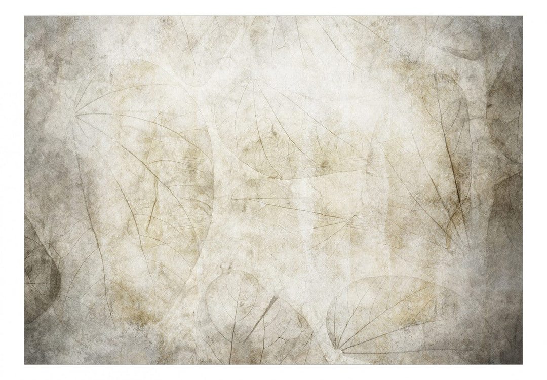 Fototapetes, Abstraktā motīvs, kas ieturēts smilškrāsas toņos, 138459 G-ART