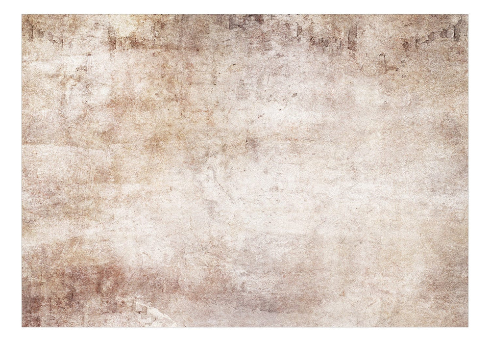 Fototapetes ar abstrakta fonu bēšā krāsā - Maigs pieskāriens - 143169 G-ART