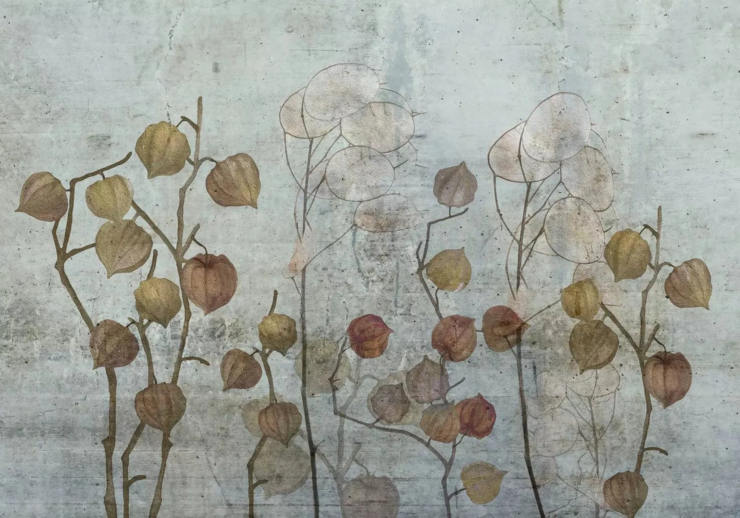 Fototapetes ar dabas motīvu - Lunaria - viesistabai, guļamistabai G-ART