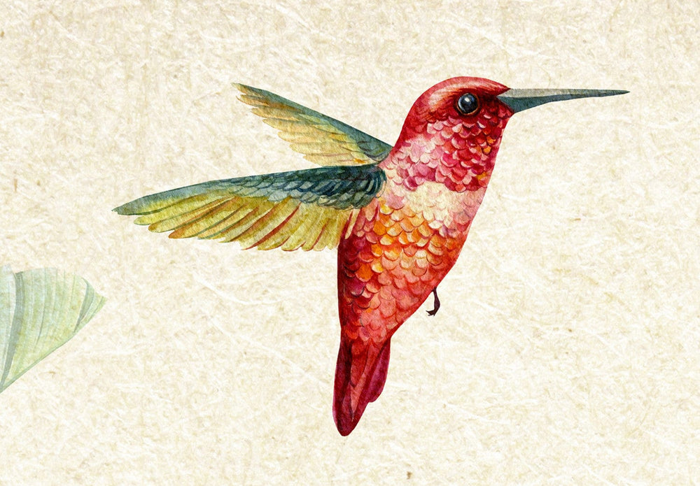 Fototapetes ar putniem - Tropu putni (2. variants) - 146342 G-ART
