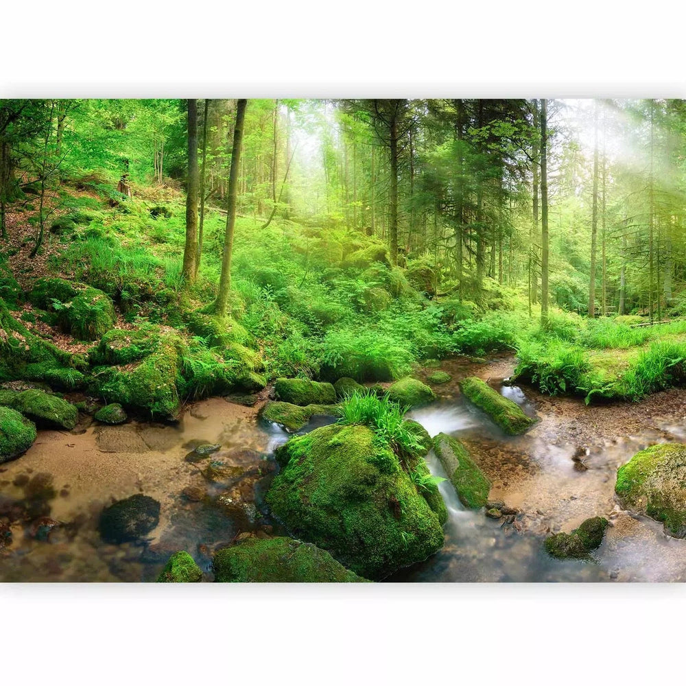 Fototapetes ar zaļu mežu - Neskarts mežs, 108227 G-ART