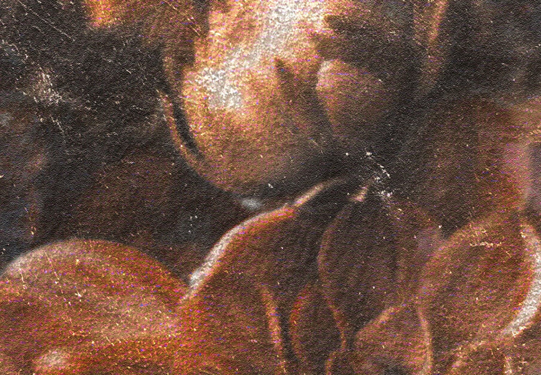 Fototapetes ar ziediem vintāžas stilā - Retro ziedi, rozā - 143071 G-ART