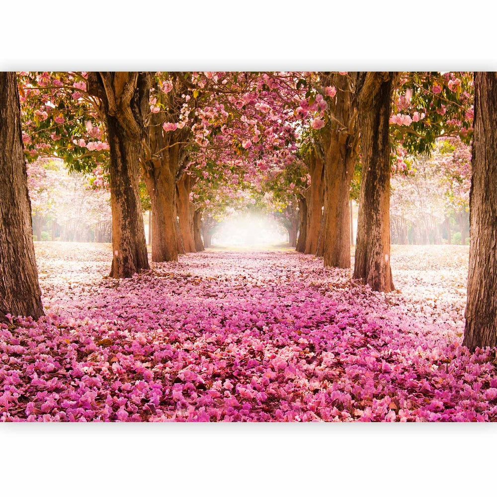 Dabas fototapetes ar ziedu aleju rozā toņos - Rozā birzs - 60423  G-ART