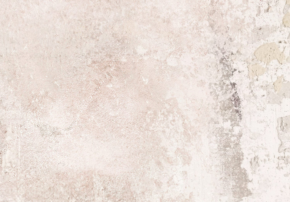 Fototapetes - Bēša krāsas etīde - 142800 G-ART