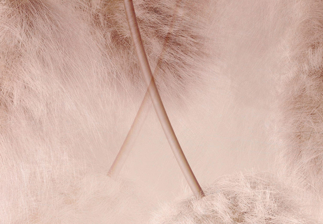 Fototapetes guļamistabai - Boho stils maigi rozā krāsā - 142591 G-ART