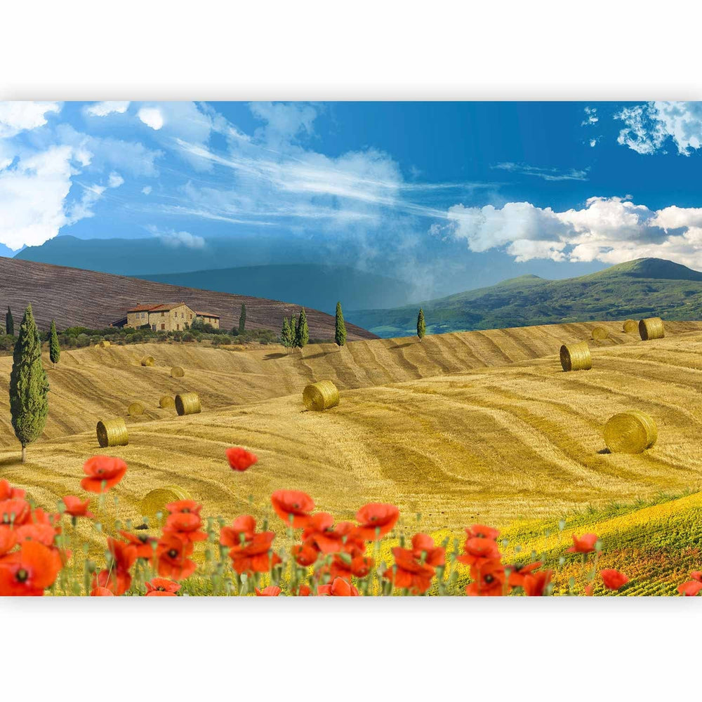 Fototapetes ar ainavu - Lauku ainava ar kokiem uz zelta pļavas - 59852 G-ART