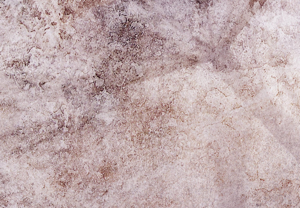 Fototapetes - Pienenes ēna (brūnos toņos) - 138472 G-ART