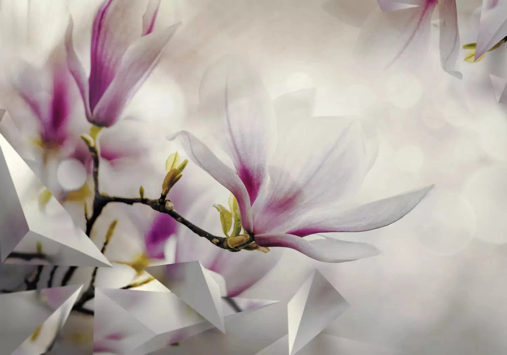 Fototapetes - Smalkās magnolijas (trešais variants), guļamistabai G-ART