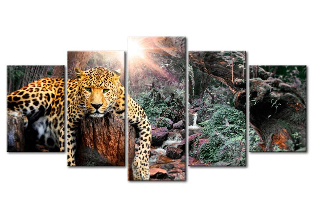 Glezna ar leopardu - Leoparda relaksācija, 92277, (x5) G-ART