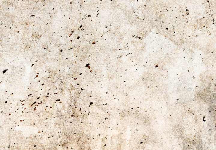 Glezna - Rūsas tekstūra - abstrakcija pasteļbrūnos toņos - 151427 G-ART