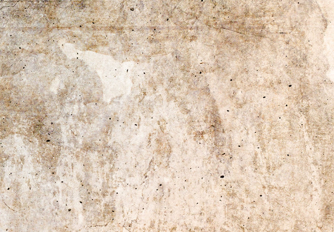 Glezna - Rūsas tekstūra - abstrakcija pasteļbrūnos toņos, 151773 G-ART