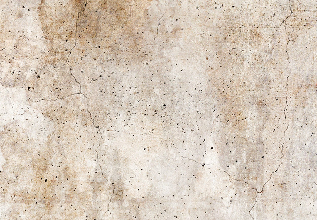 Glezna - Rūsas tekstūra - abstrakcija pasteļbrūnos toņos, 151773 G-ART