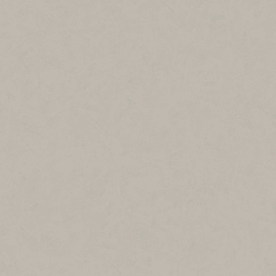 Flizelīna tapetes ar ģipša struktūru gaiši pelēkā krāsā AS 376947 AS Creation