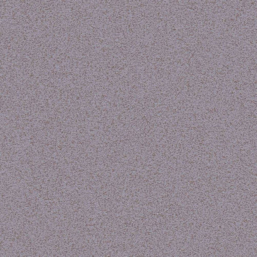 Tapetes ar matētu virsmu baložu pelēkā krāsa AS 368998 AS Creation