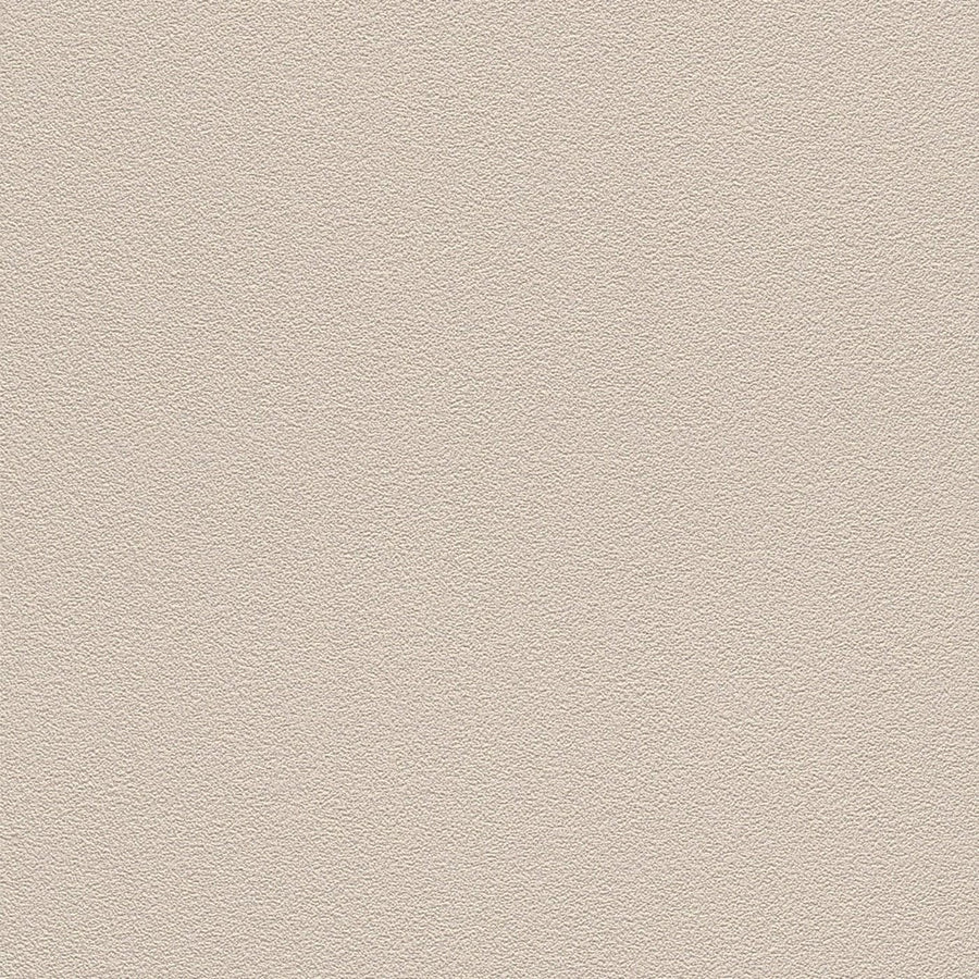 Tapetes RASCH taupe krāsā, 1624014 - nopirkt internetā RASCH