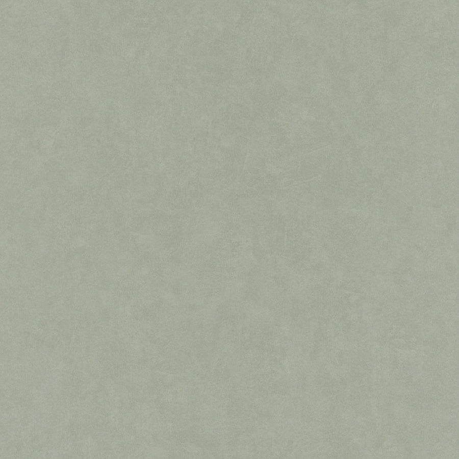 Tapetes RASCH zaļā krāsā, gludas un matētas - 1750662 RASCH