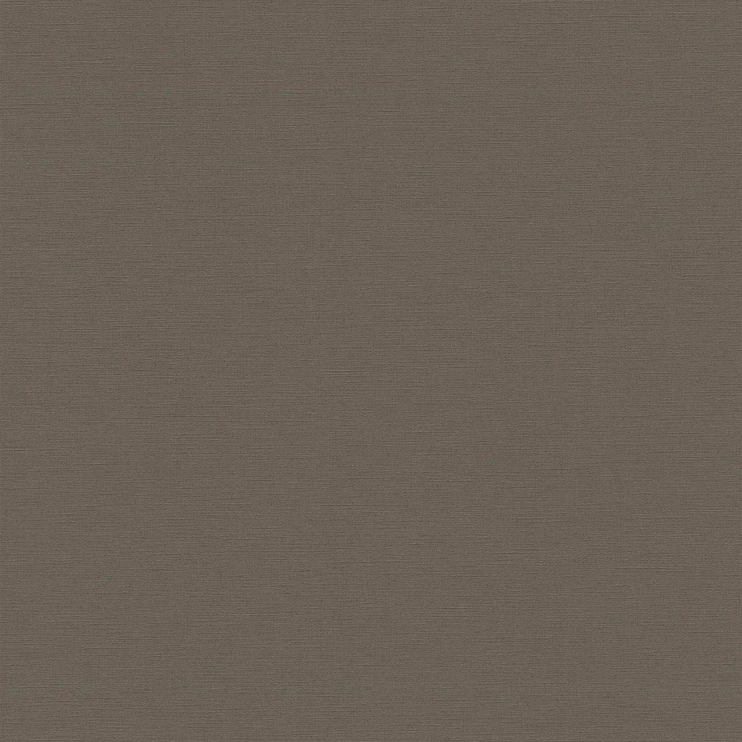 Vienkrāsainas matētas tapetes tumšos toņos - 1373501 AS Creation