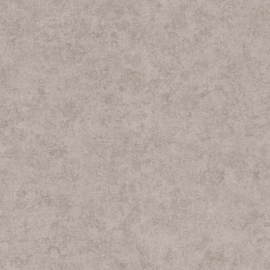 Vienkrāsainas tapetes, nedaudz spīdīga, brūnos toņos, 1045337 Erismann