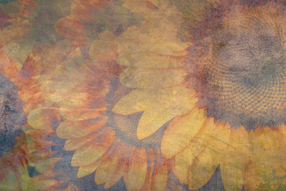 Fototapetes ar saulespuķēm vintāžas stilā, D383 D-ART