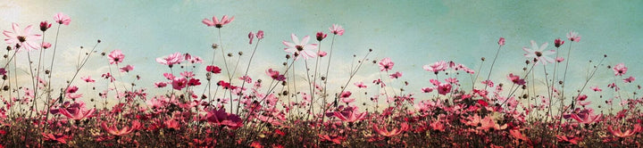 Pašlīmējošas fototapetes virtuvei ar pļavas ziediem - Pavasara lauks (260x60 cm) Art4home