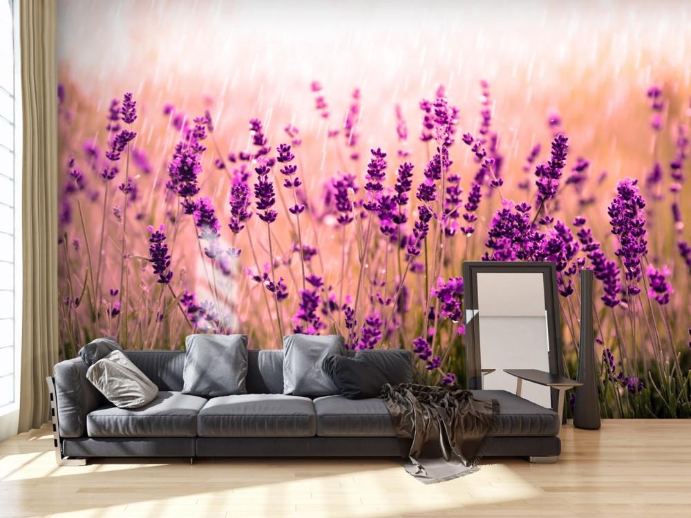 Fototapetes ar lavandas laukiem un lavandu