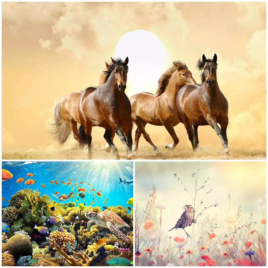 Fototapetes ar zivtiņām, putniem un zirgiem