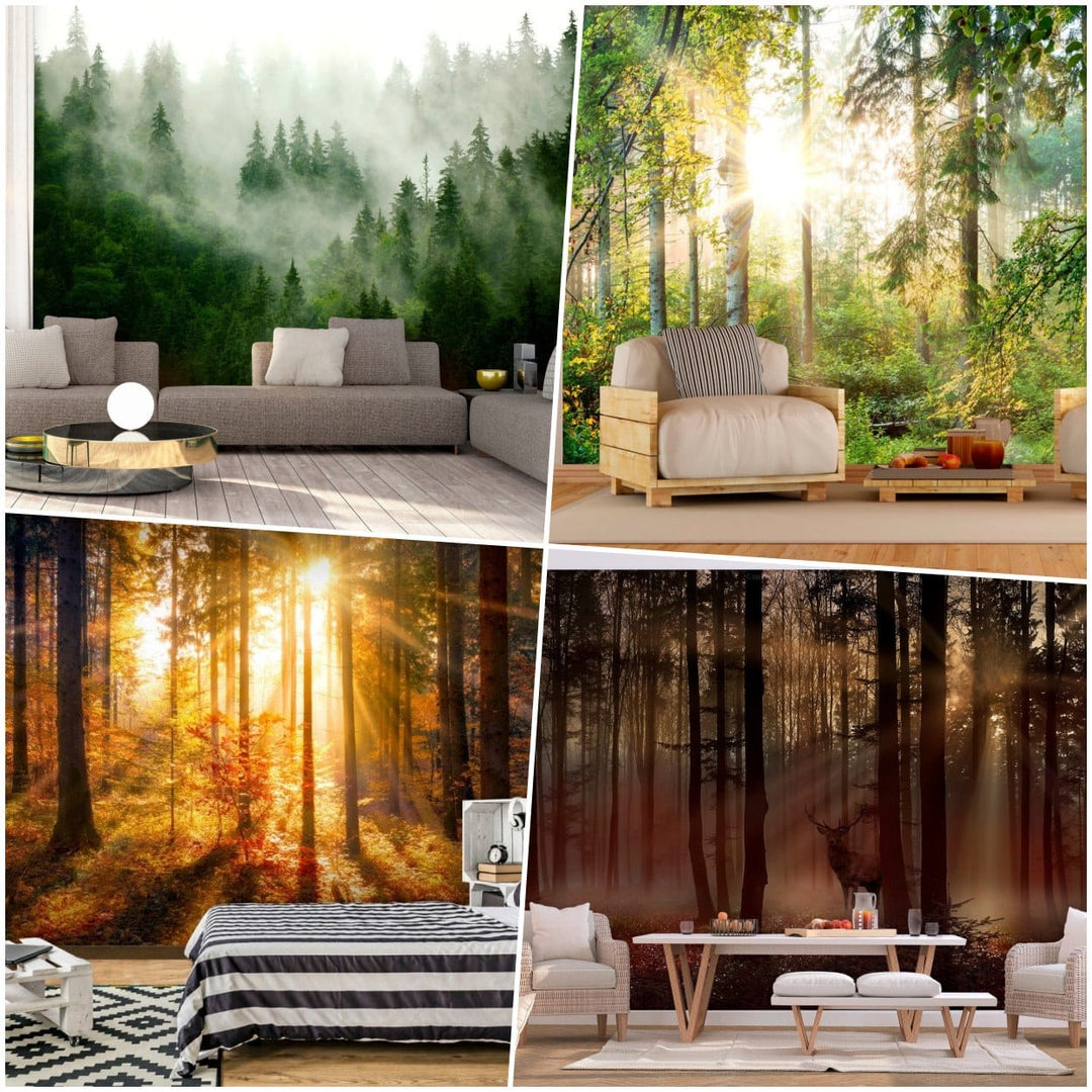 Fototapetes ar mežu: ar saulainu mežu, ar rudens mežu un ar skatu uz mežu