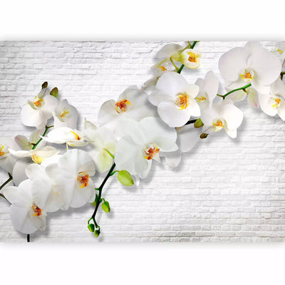 Wall Murals 61871 city orchids