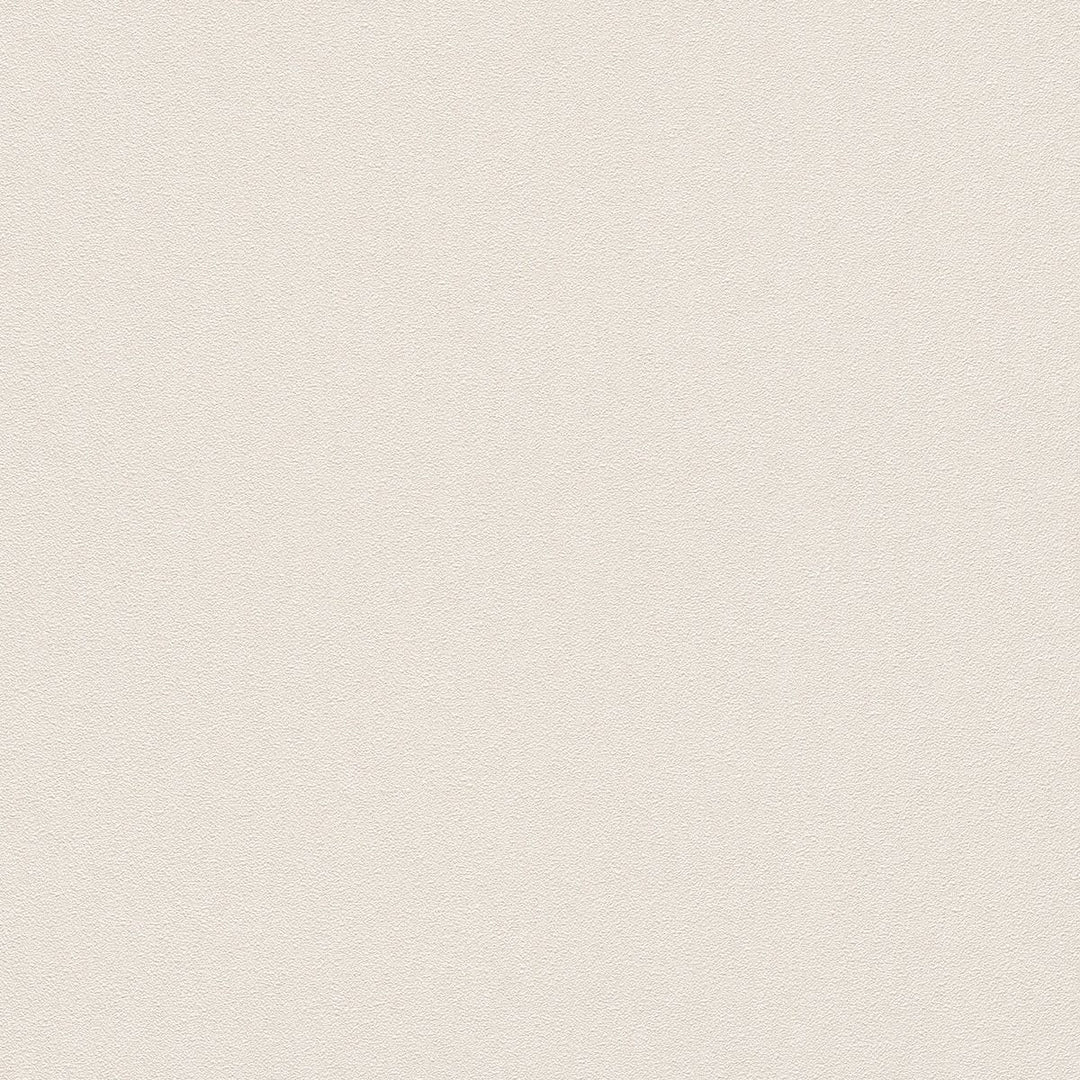 1.06x10m, Plain wallpapers with matt texture, cream - 1414043