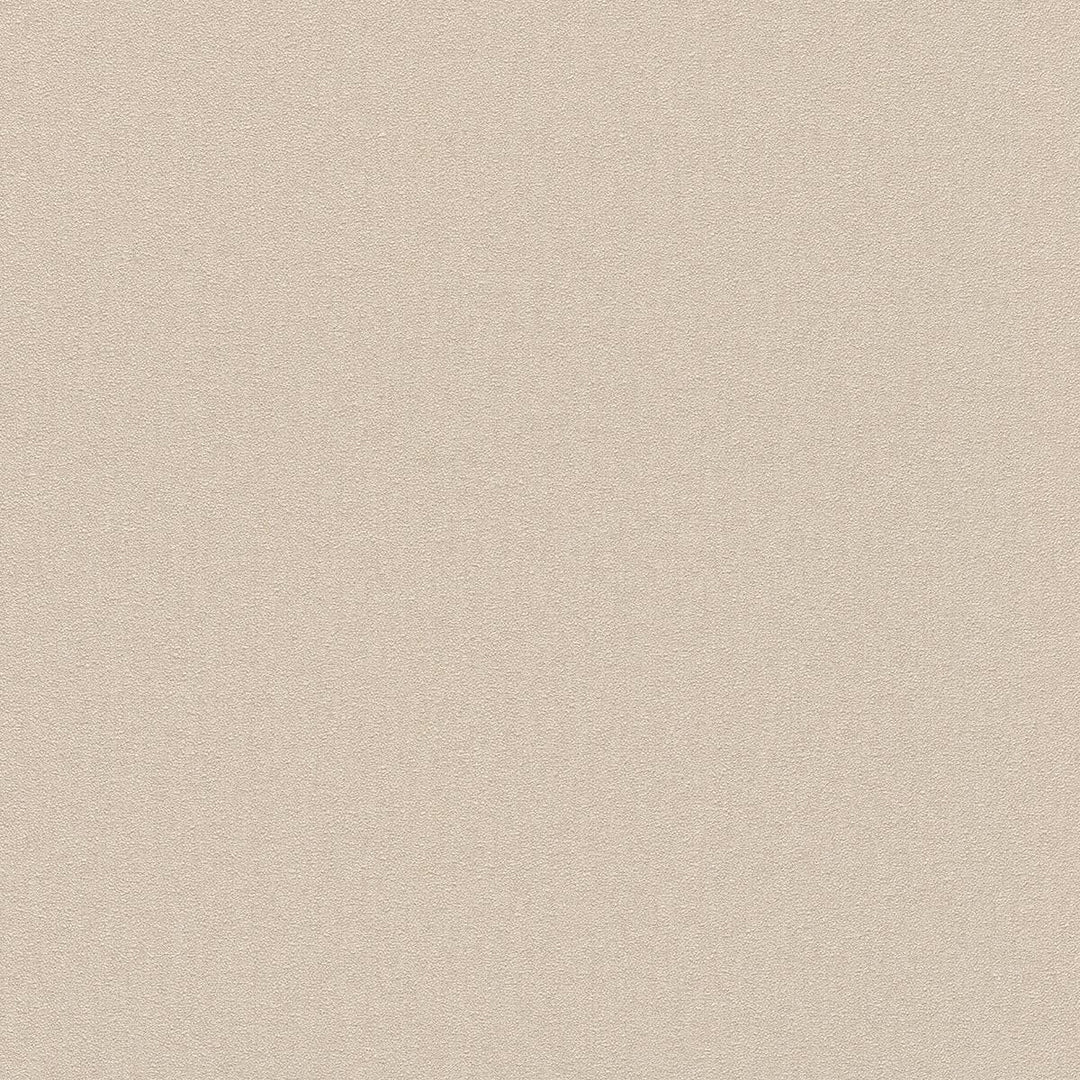 1.06x10m, Plain wallpapers with matt texture, cream - 1414043