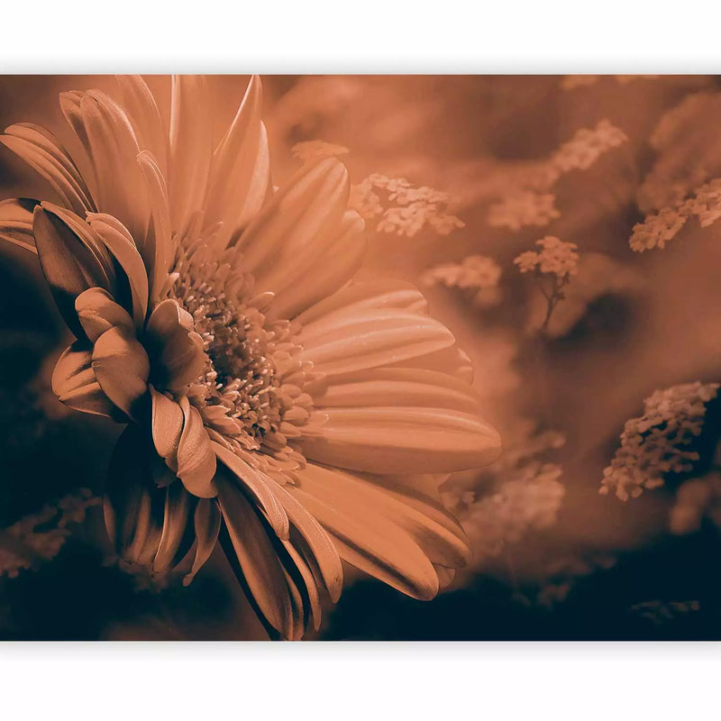 Fototapeet lilledega - Gerbera pronks, 60415