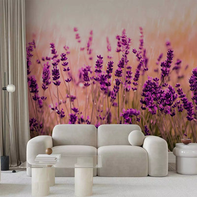 Wall Murals 92588 fragrant lavender