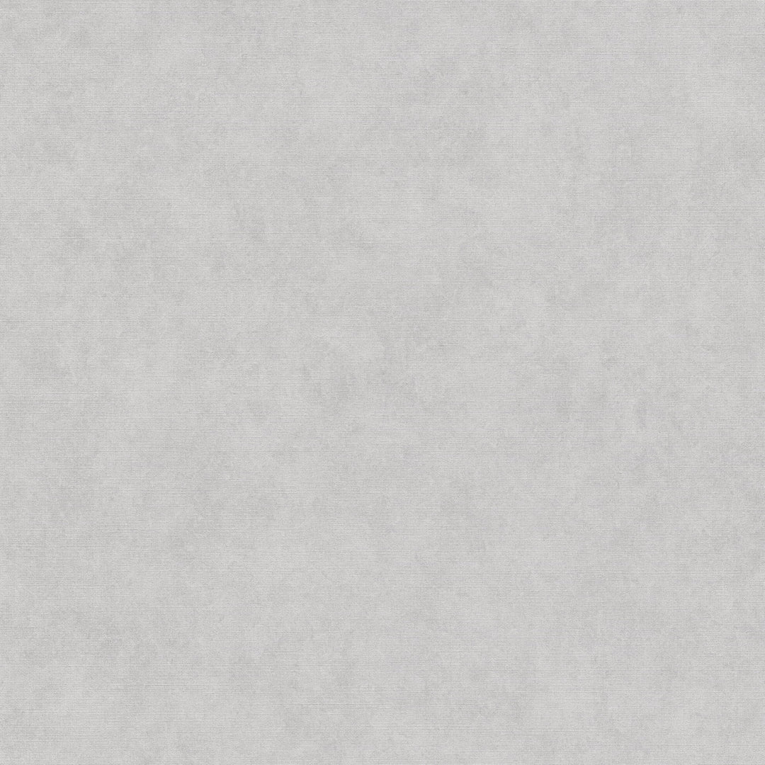 Vienkrāsainas tapetes ERISMANN ar elegantu spīdumu, silti pelēkā krāsā - 3775443