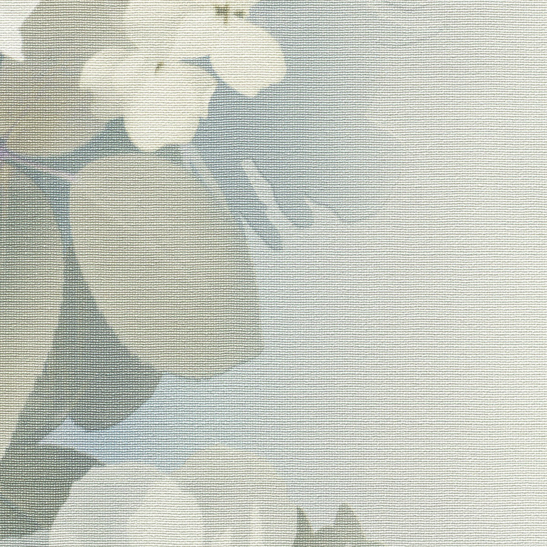 Romantiški tapetai su subtiliomis gėlių formomis, žalia/mėlyna/balta - 4005254