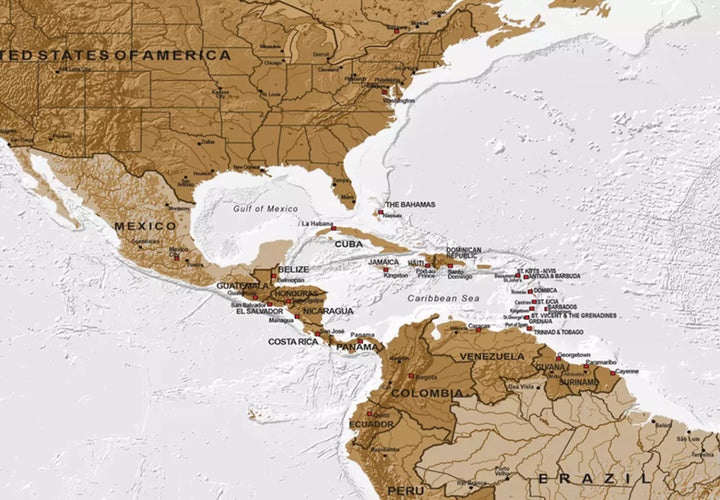 Картина большого формата - Политическая карта мира со странами на светлом фоне, 132356