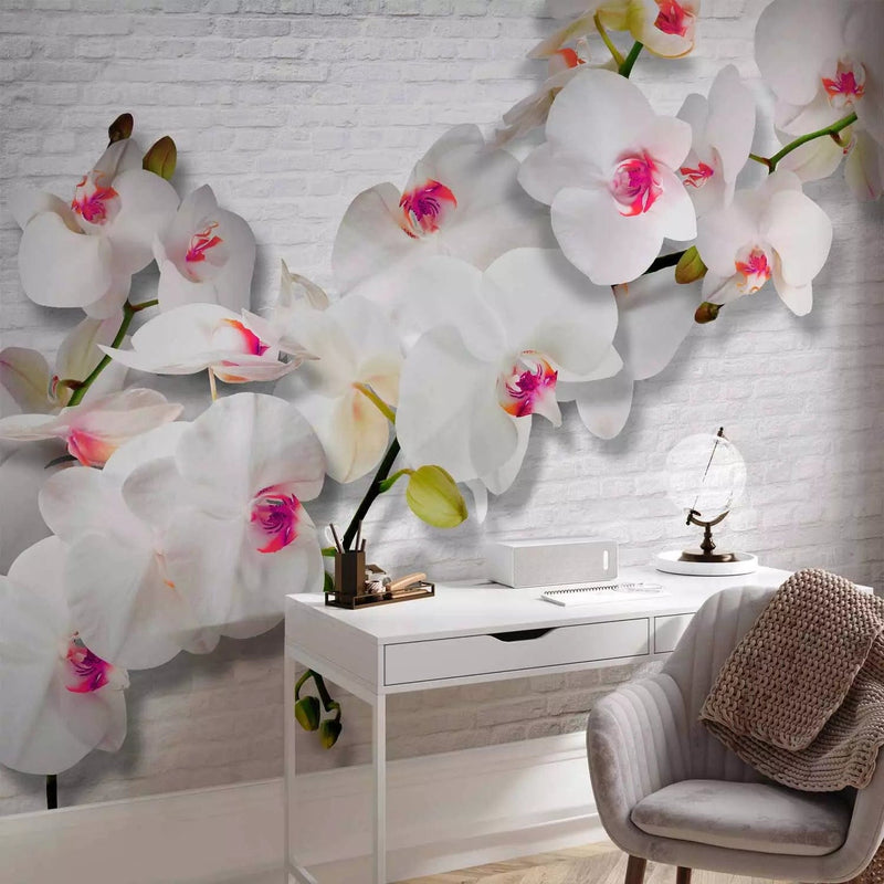 Wall Murals 61839 wall with orchids