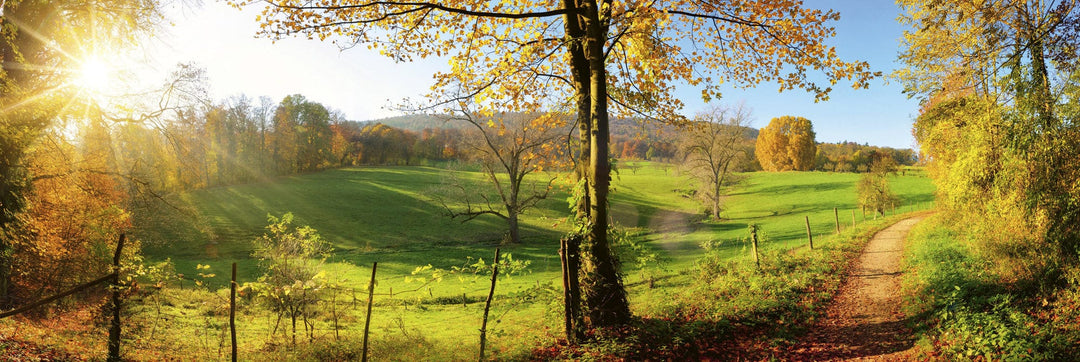 Pašlīmējošas fototapetes virtuvei - Pļava  (180x60 cm) Art4home