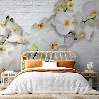 Wall Murals 61871 city orchids