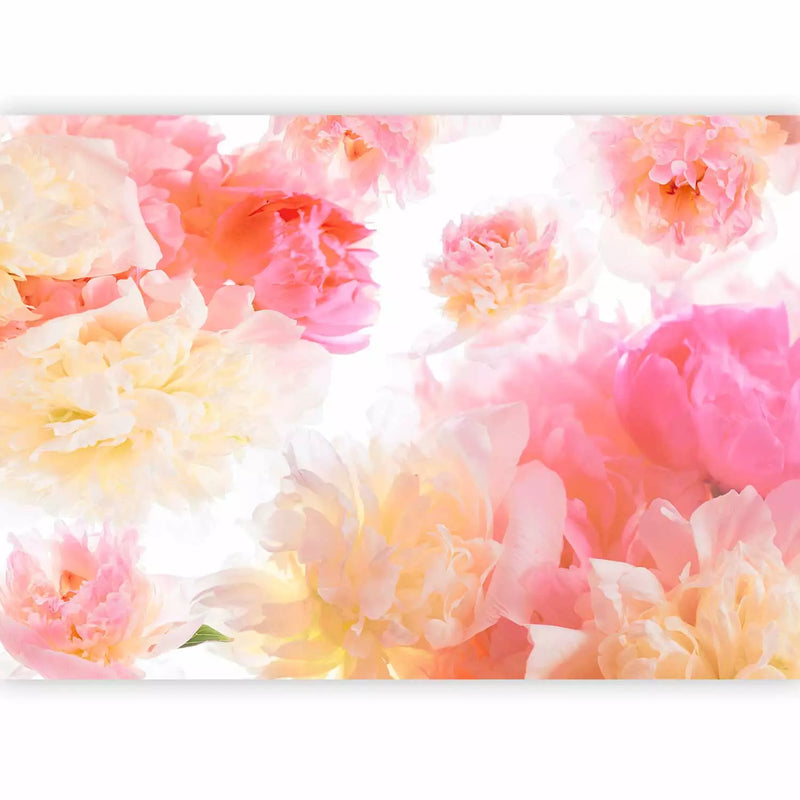 Wall Murals 97339 Peonies