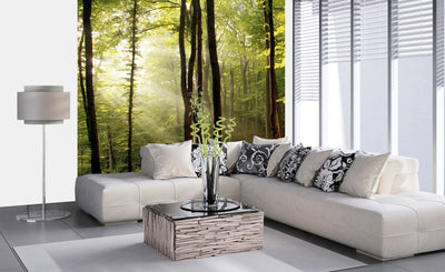 225x250 cm, Wall Murals with a sunny forest - Peace of the forest D-ART