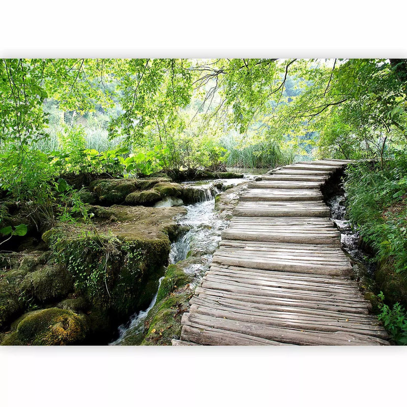 Lētas PREMIUM Fototapetes  ar dabu - Meža ceļš, 60506,  300x210 cm G-ART