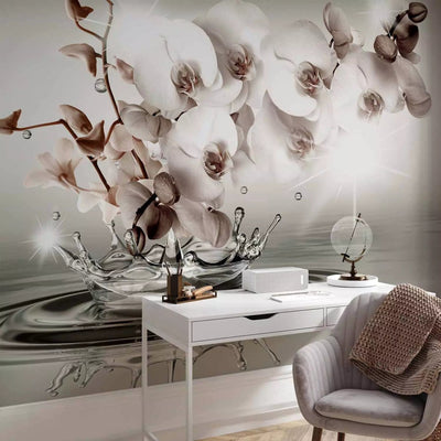 350x256 cm, discounted Wall Murals - Orchid branches - buy online at G-ART