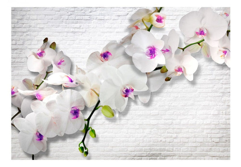 350x256 cm Fototapetes - Siena ar orhidejām II, 61847,  (atvērts iepakojums) G-ART