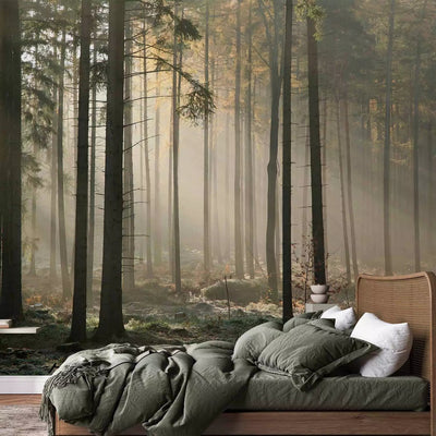 Cheap Wall Murals - Forest landscape with trees in autumn mist, buy at G-ART