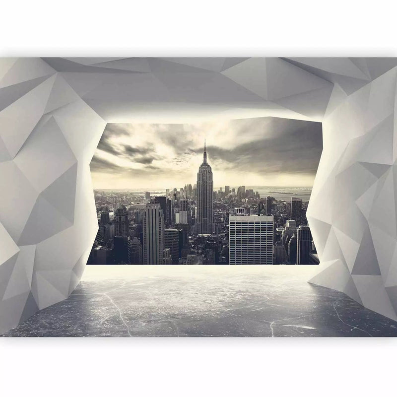  Wall Murals with an unusual view of New York from your room, gray g-art