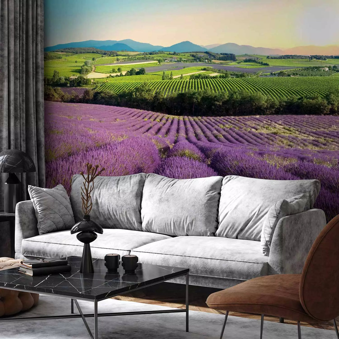 Fototapetai - Levandų laukai - 127991
