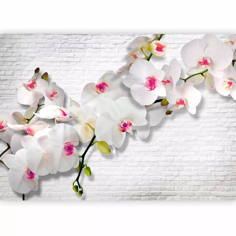 Wall Murals 61839 wall with orchids