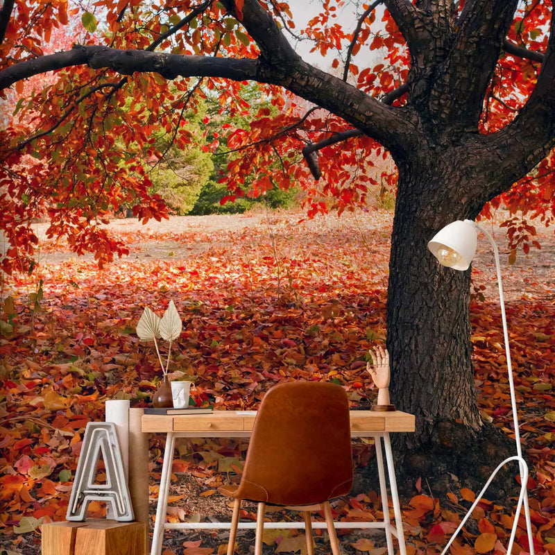 Wall Murals - Autumn - a glorious season, 59844