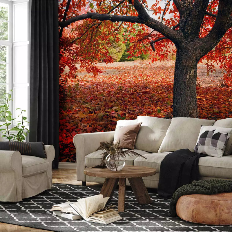 Wall Murals - Autumn - a glorious season, 59844