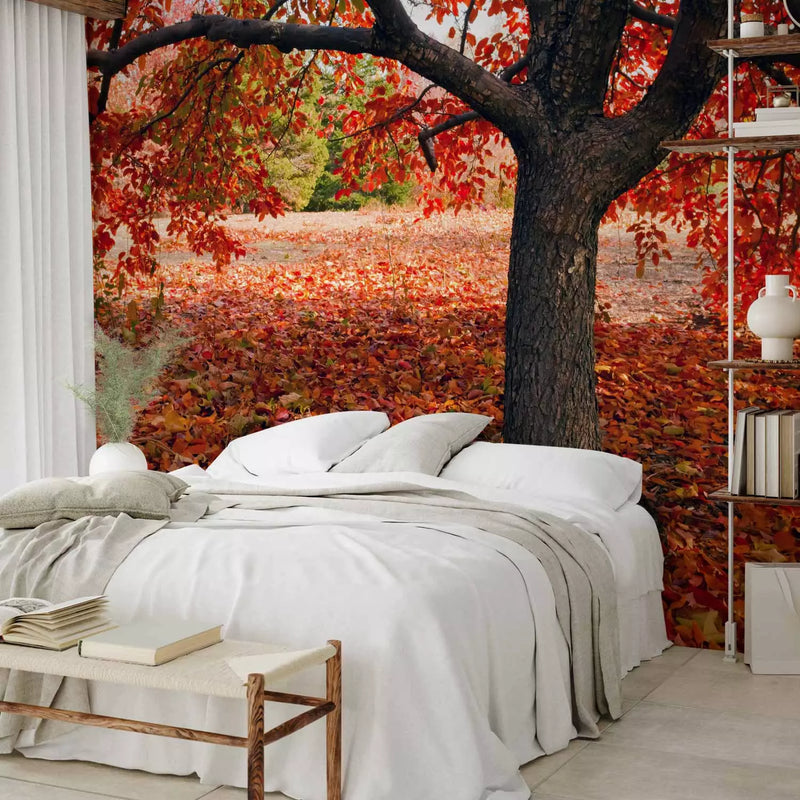 Wall Murals - Autumn - a glorious season, 59844